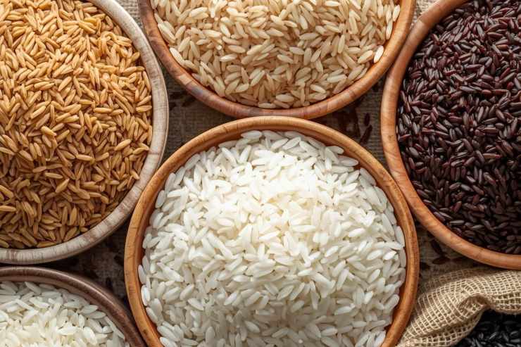 Différents bols contenant plusieurs variétés de riz